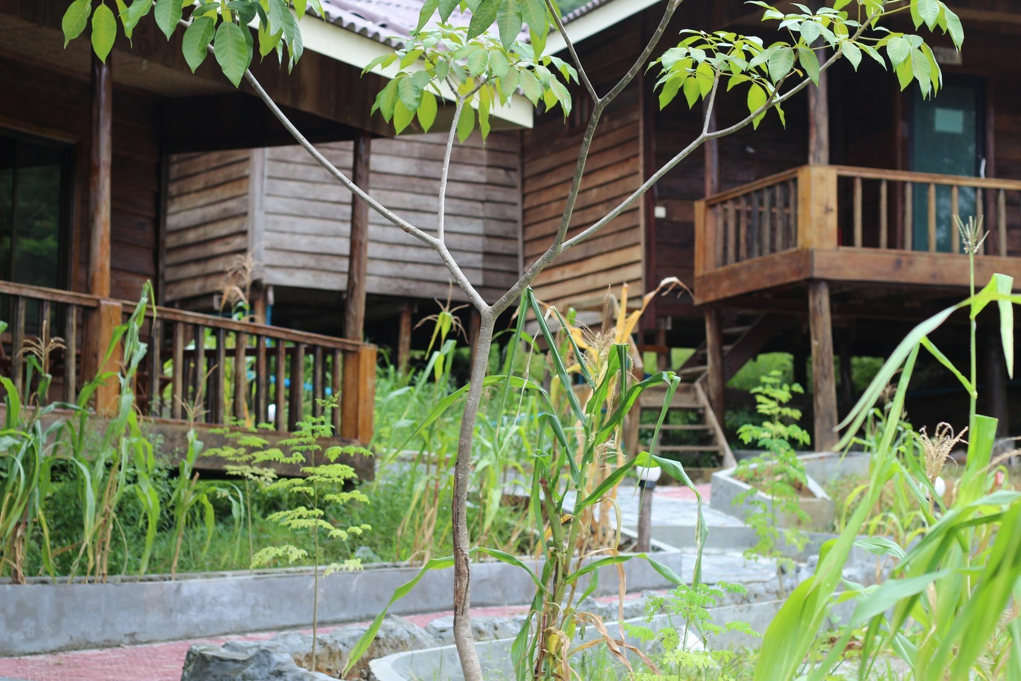 Golden Bungalows Kaoh Touch Exterior photo
